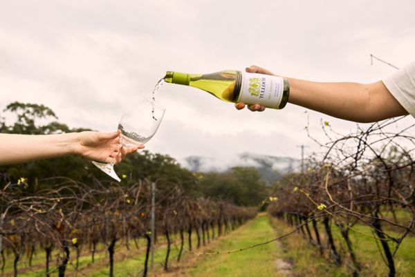  These aren’t your grandma’s wines. Check out our five Hunter wines of the moment. 
