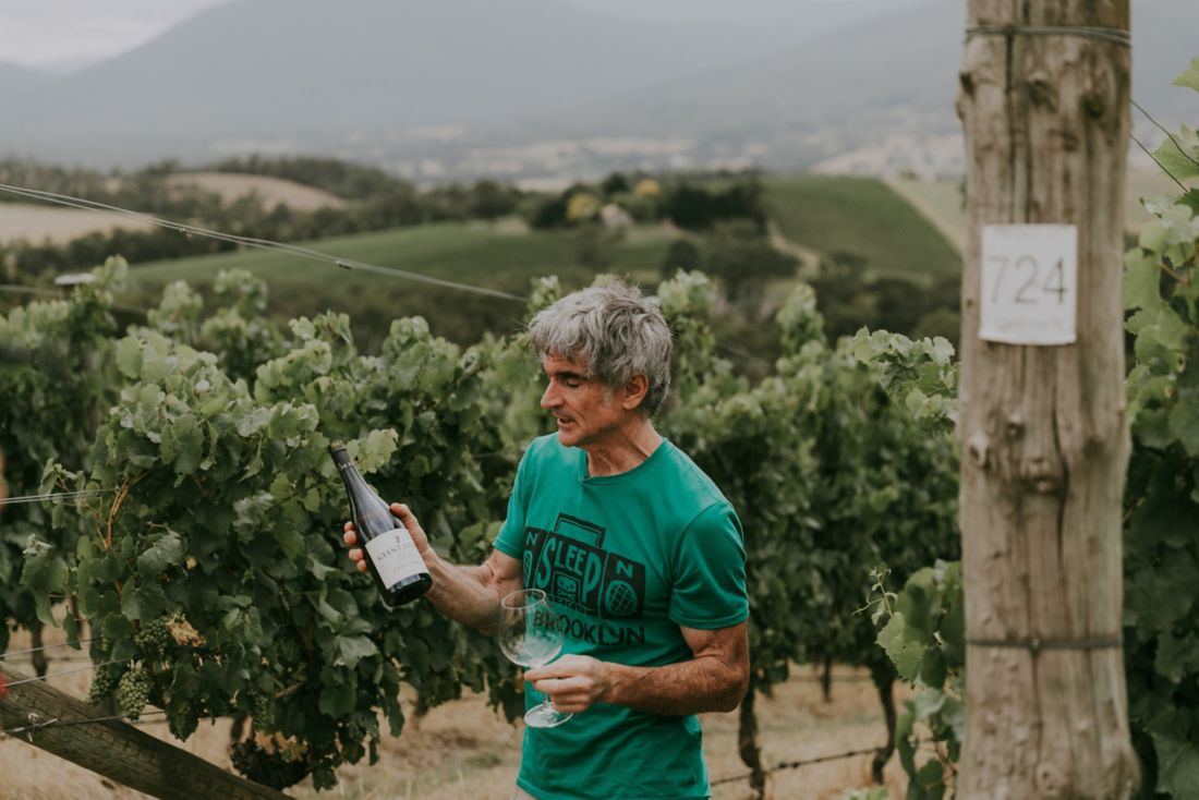 An expert's guide to the Yarra Valley's must-try wines