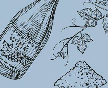 Organic vs preservative free wine