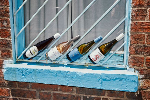  The 10 best wines of the year, as selected by our expert judges from over 1,200 bottles. 
