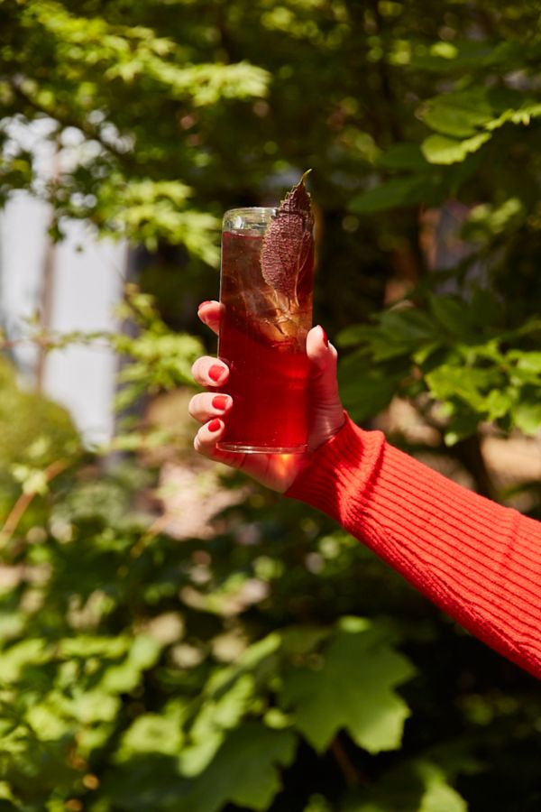 Holding a Blood Plum and Shiso Highball