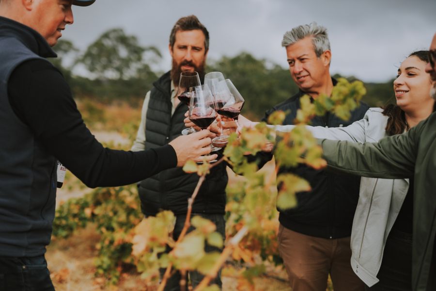 5 reasons why the Barossa is so iconic 