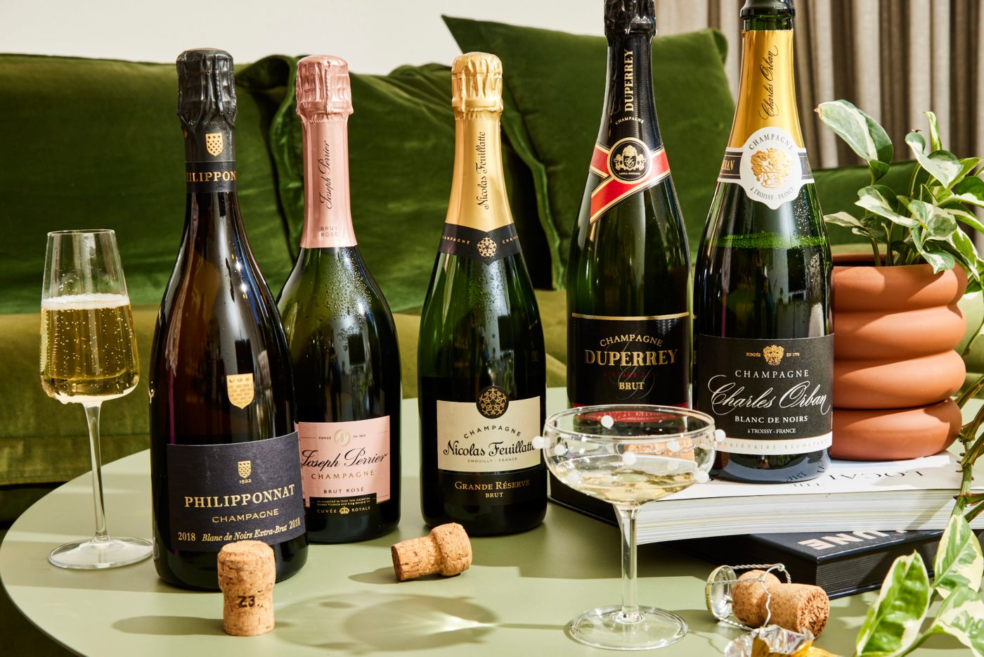 A line-up of Champagnes from smaller producers in the region 