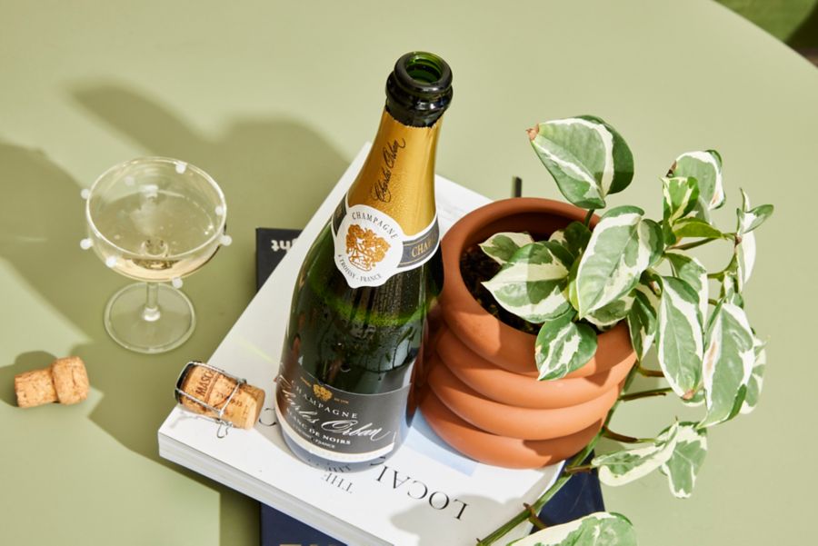 Charles Orban Champagne next to a pot plant and glass 