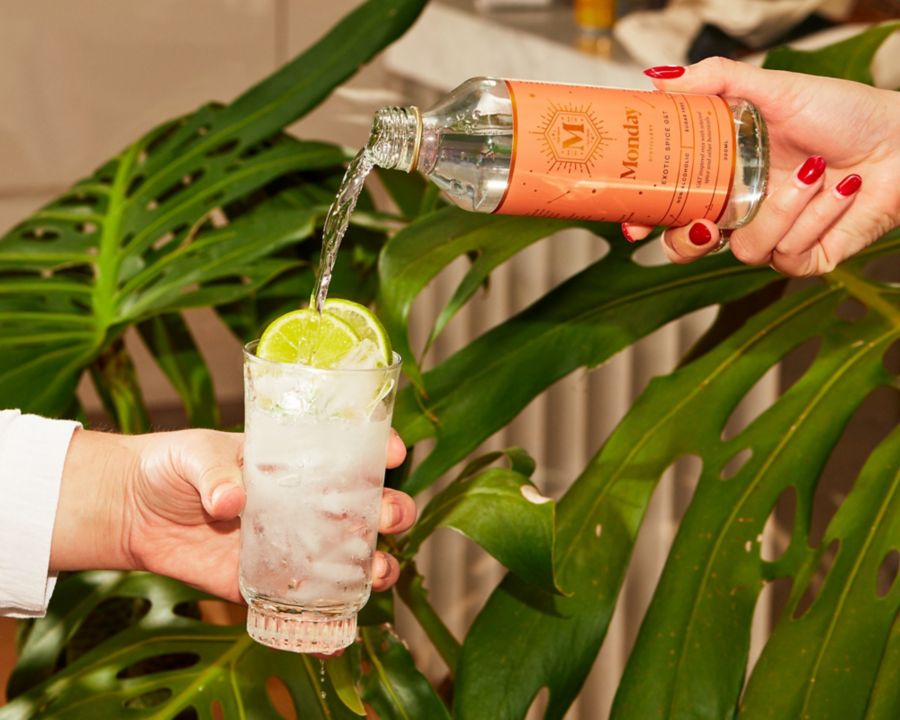 monday distillery non alcoholic exotic spice 