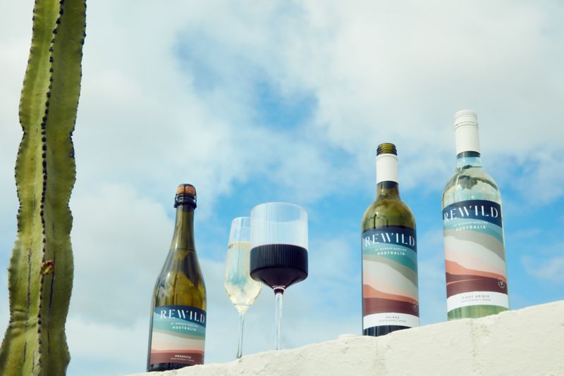  What makes a wine truly sustainable?