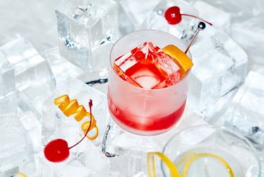Your Guide To Cocktail Ice Cubes (Yes, It Makes A Difference)