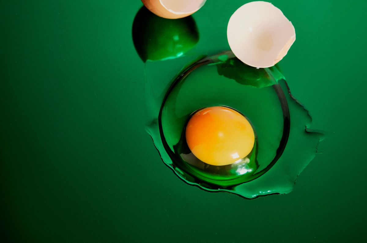 Cracked egg shell and egg yolk