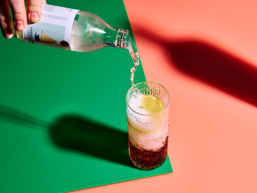 What Else Goes Well with Tonic aside From Gin? Dan's Daily Dan Murphy’s