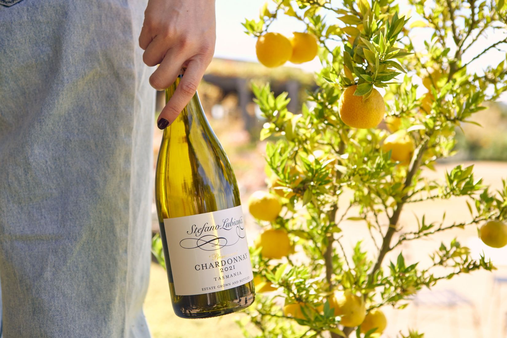 Picnic setting with a cheese board and cans of Liberty Coast Raspberry
