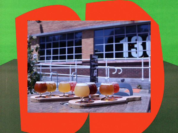 Beer paddle at Two Birds Brewing