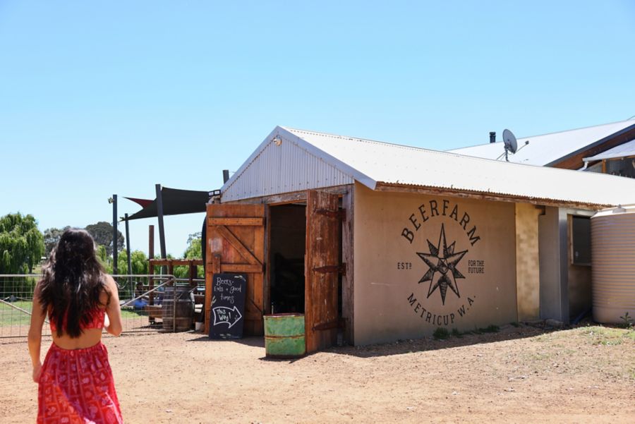 Tour and tasting at Beerfarm