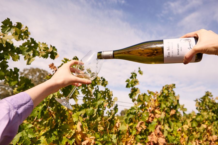 Pouring a glass of Tim Adams Pinot Gris