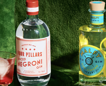 Bougie wines to bring to your next dinner party