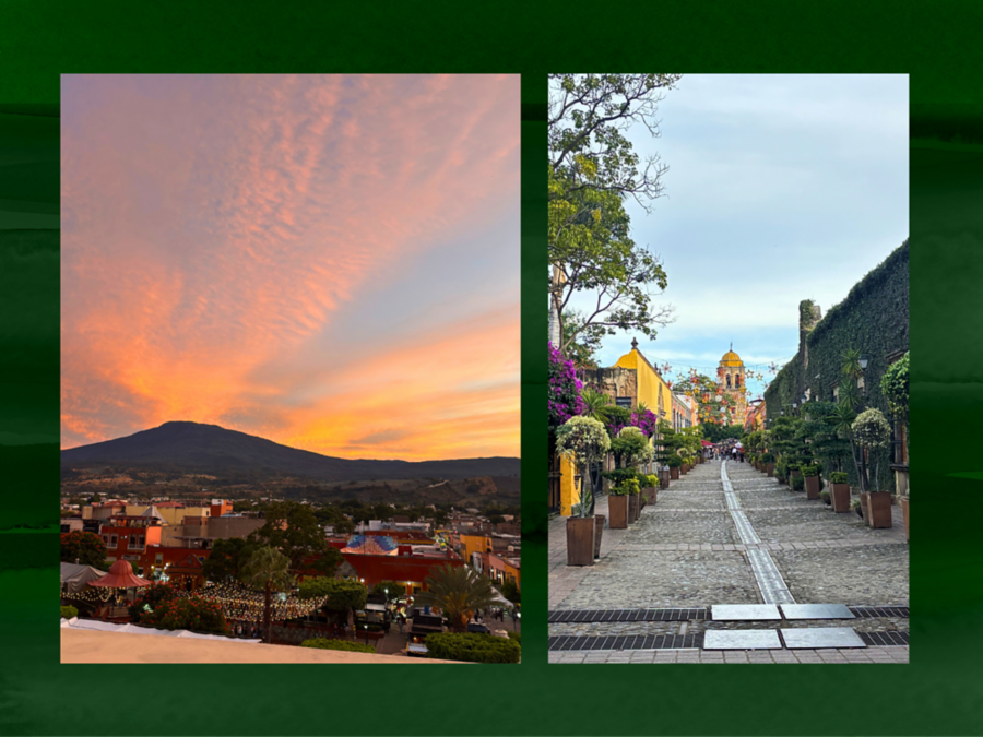 The setting in Jalisco around the Jose Cuervo distillery 