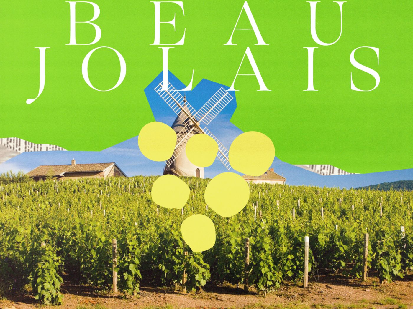 Beaujolais vineyards and an illustration of the French region  