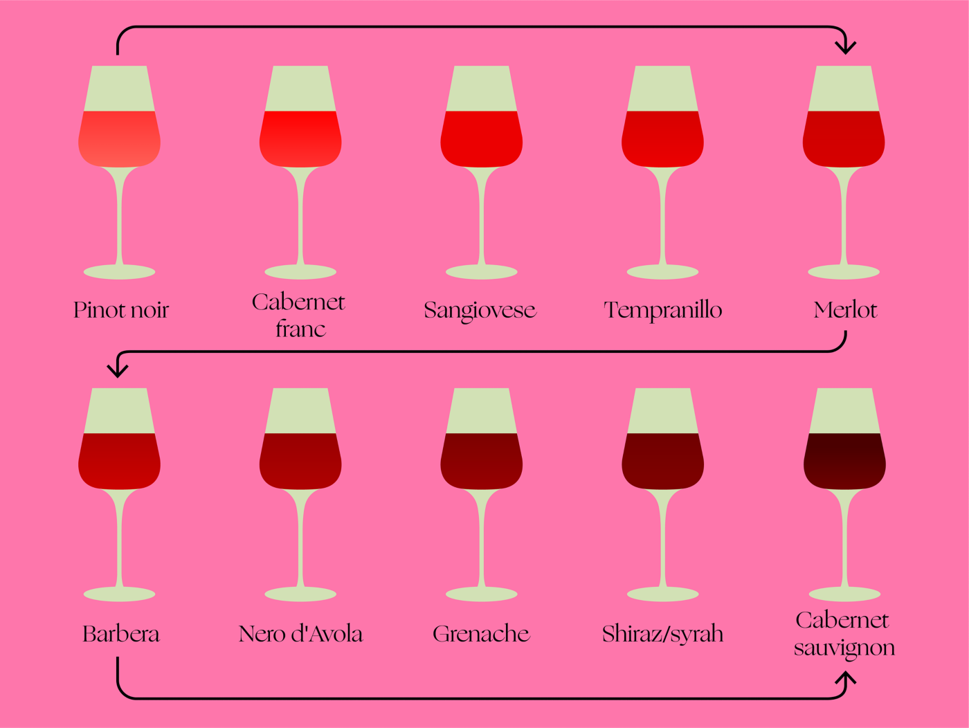 Illustrated glasses of red wine lined up in order of body against a pink background  