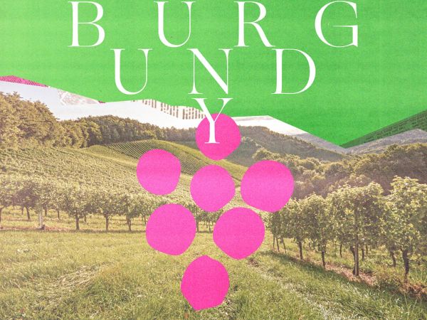  A simple guide to Burgundy's world-famous (and often complex) wines. Find out all about this popular wine region. 
