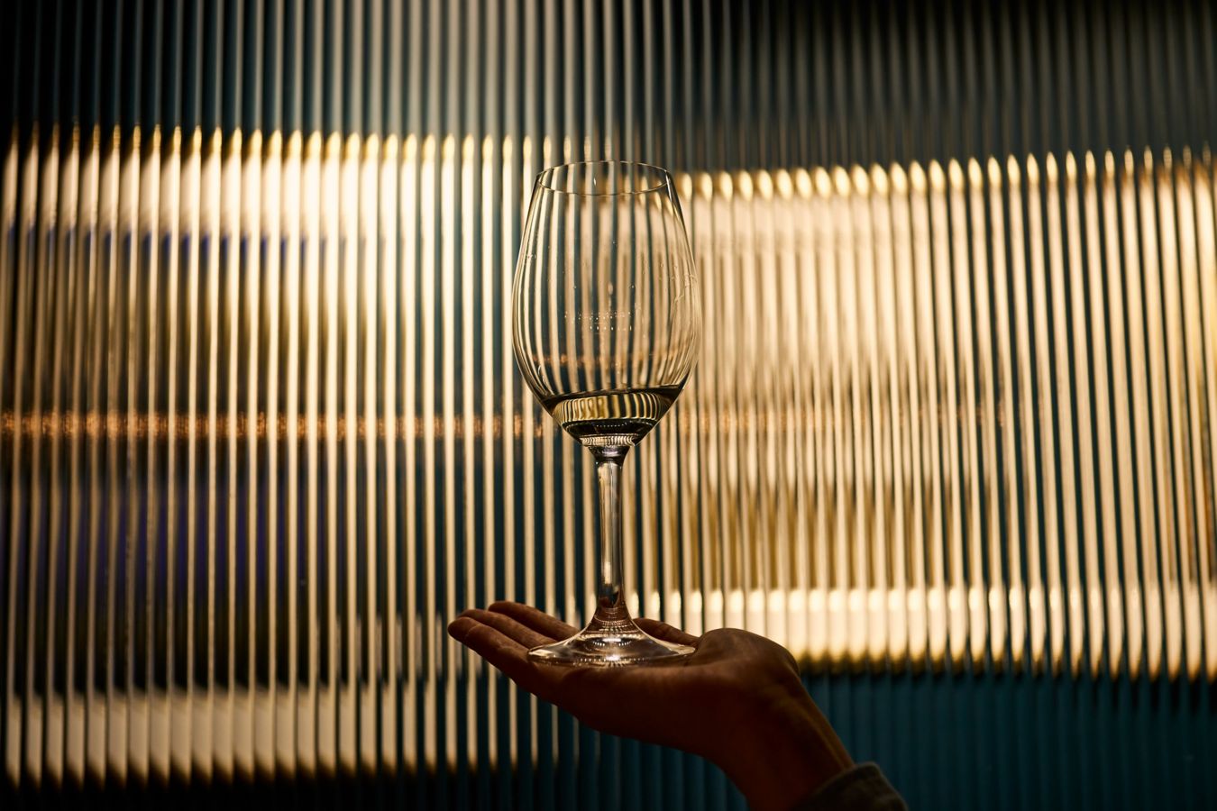 Vine Guide: Clare Valley edition