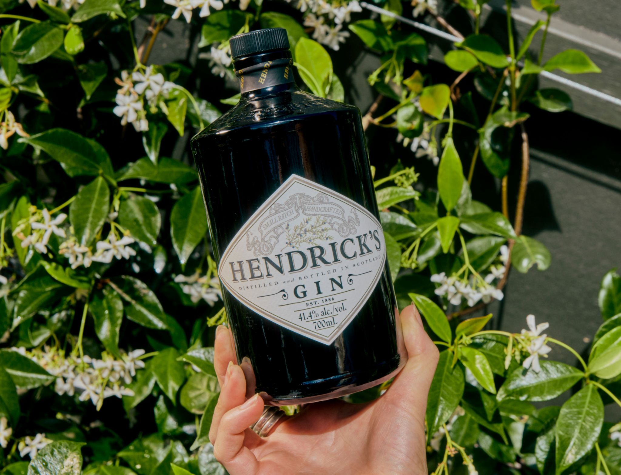 Holding a bottle of Hendrick's Gin with plants in the background