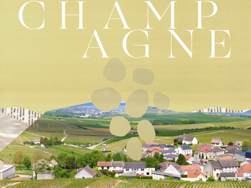 How Champagne claimed its place at the top of the wine world      