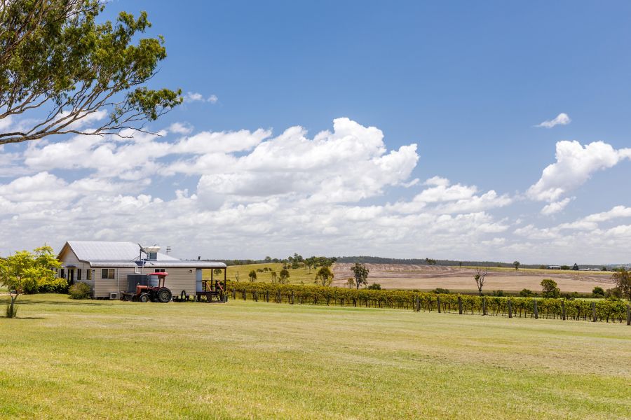 The outlook at Nuova Scuola Wines