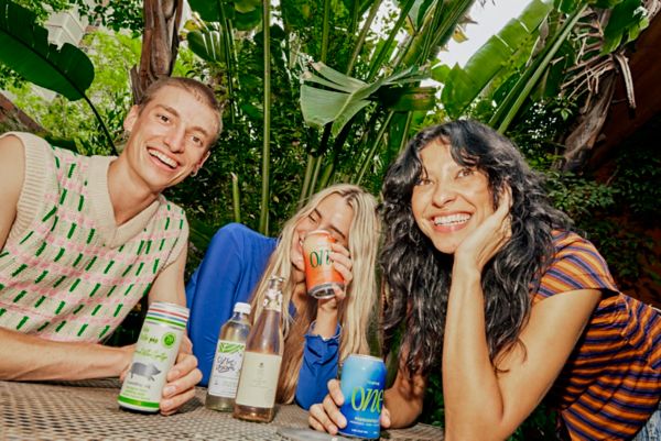  Wine meets big fizz and natural flavour to create a drink breaking all the rules –&nbsp;these are our 10 picks. 
