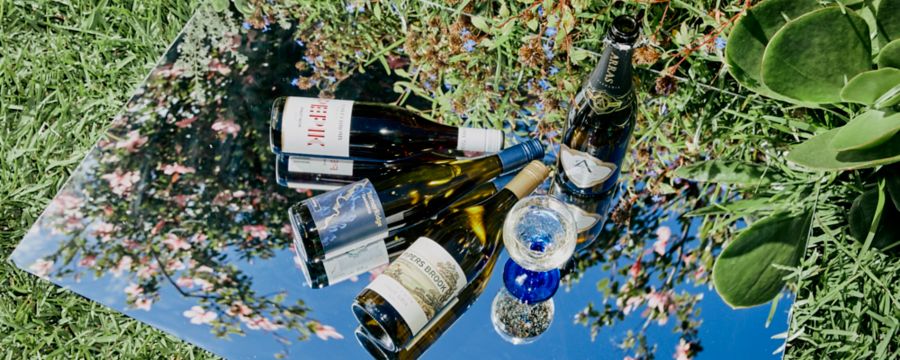 5 wines to make you fall in love with North Tassie