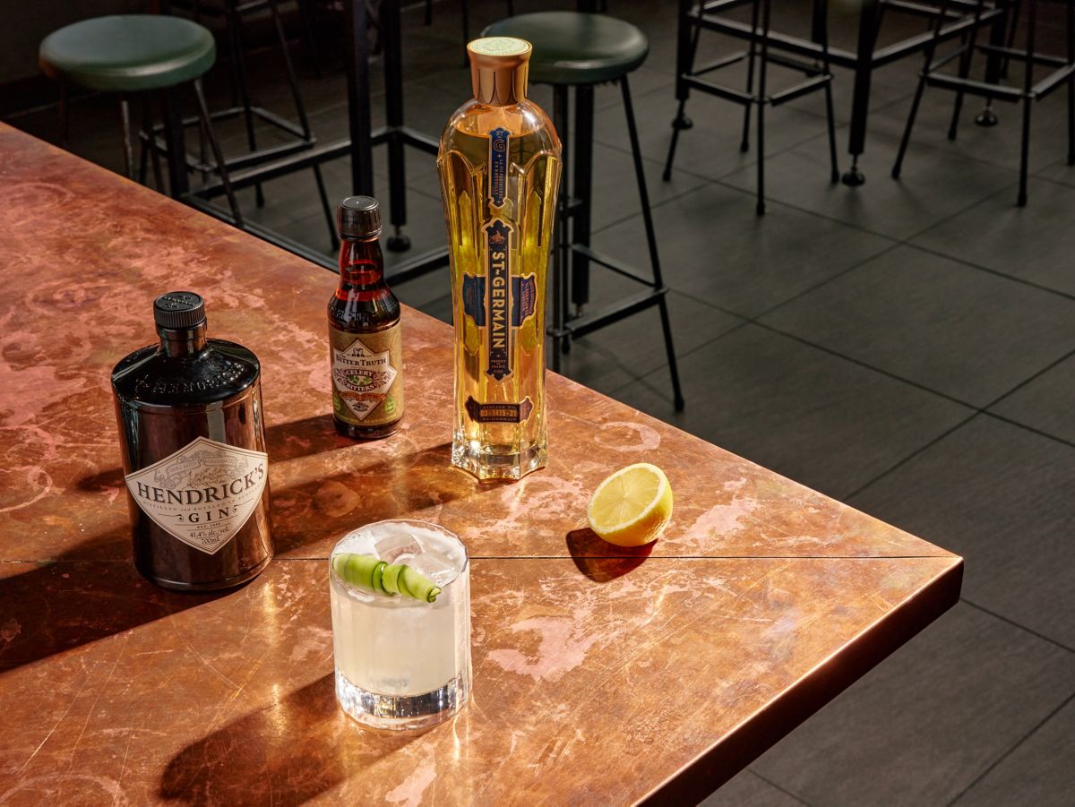 Gin Sour with Celery Bitters Cocktail Recipe with Ingredients by Cara