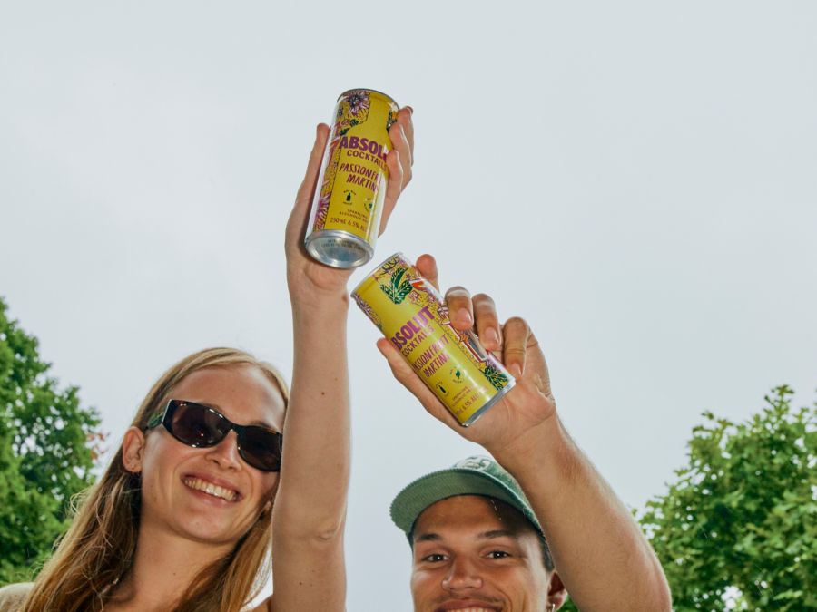 5 Best Canned Cocktails for Fancy Picnics (ReadytoDrink Premixed