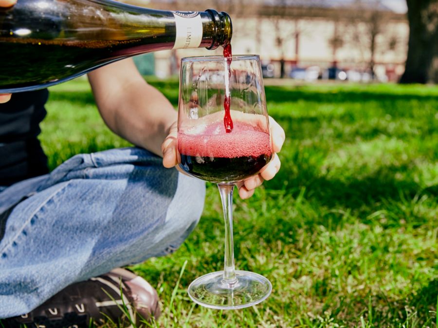 The Ultimate Guide to Sparkling Red Wines (Everything You Need to Know