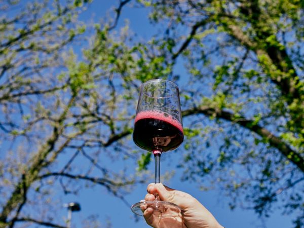  If you’re not on the sparkling red train, you’re missing out.&nbsp;  
