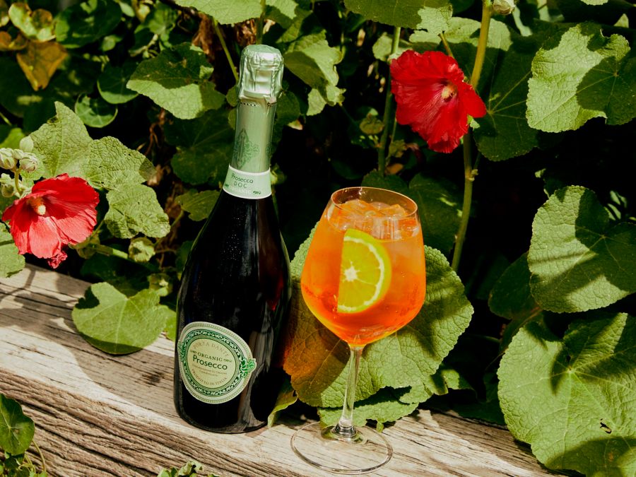 5 Best Proseccos to Make Aperol Spritz (All You Need to Know) Dan's