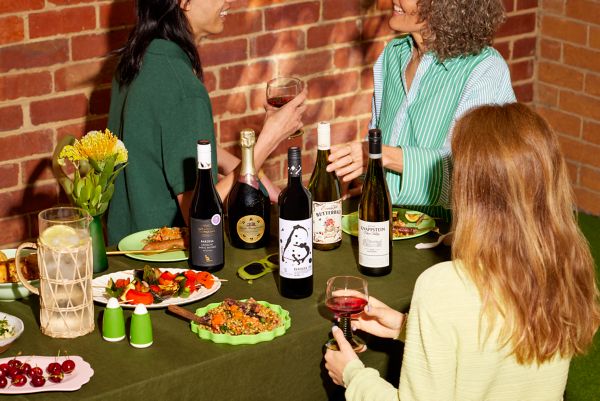 Top wines under $20: Special-occasion wines on a barbecue budget 