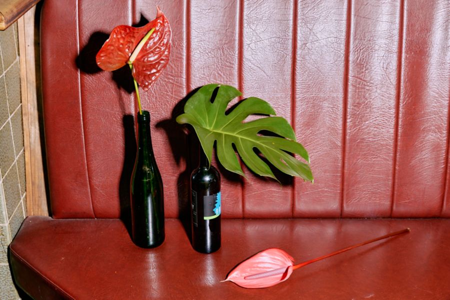 Wine bottles as vases