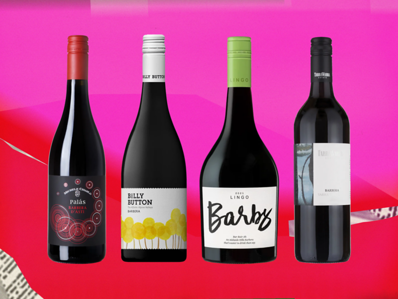 Wine 101: What is barbera?