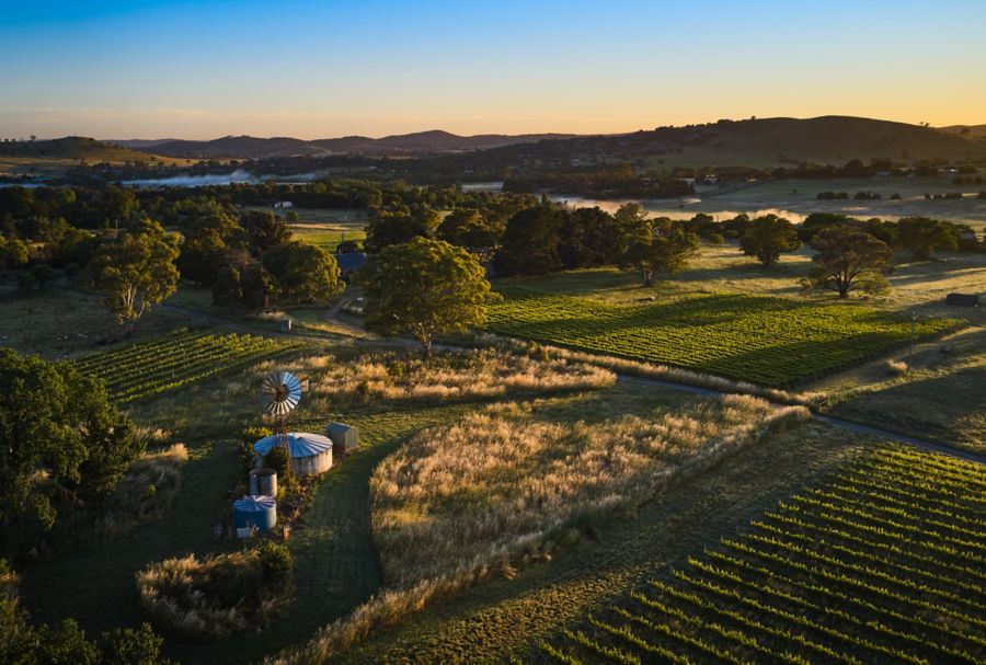 Aerial shot of vineyards at Clonakilla