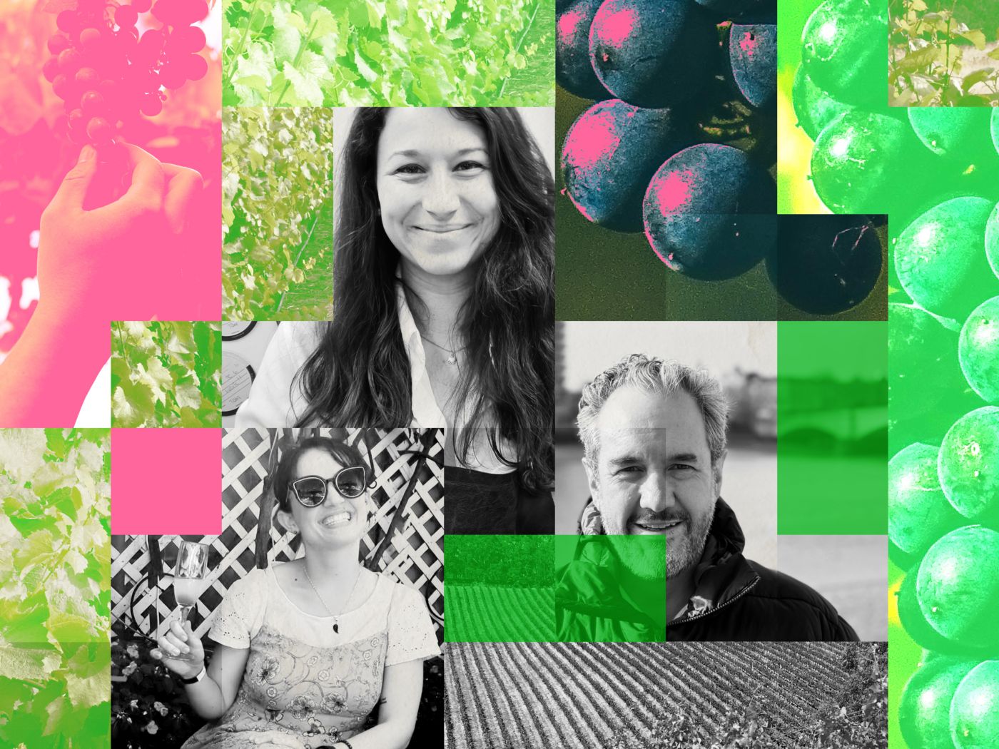 Three wine experts against an illustrated background