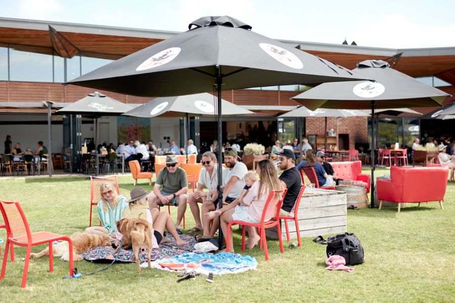 On the lawns at Flying Brick Cider Co. 