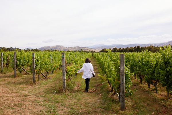  Ready to taste a few local legends? Look no further than these five wines from southern Tasmania. 
