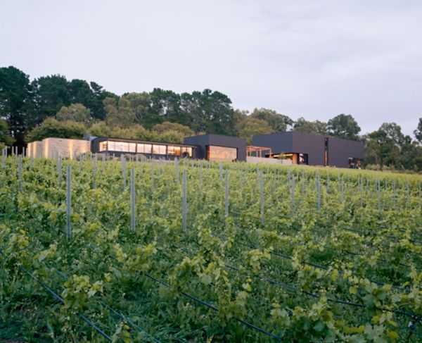  The full Ten Minutes by Tractor experience is destination dining, while the cellar door offers casual platters and the chance to try some of the Mornington Peninsula’s finest wines. 
