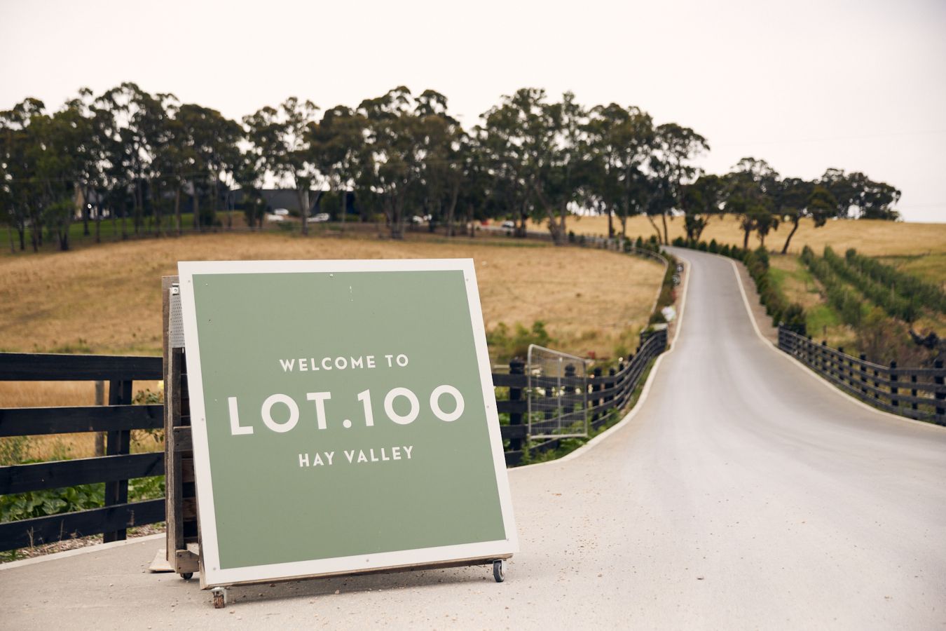 Lot 100