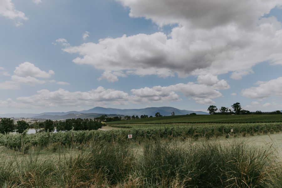 The view at Oakridge