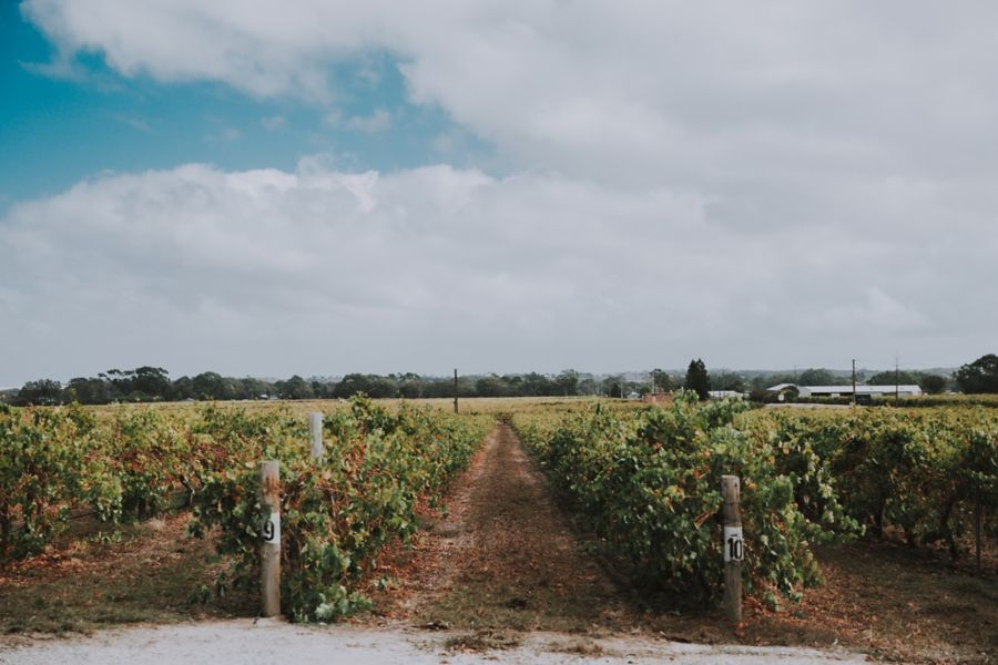 Harvest Kitchen A Kitchen & Bar in Barossa Valley Region (What Drinks