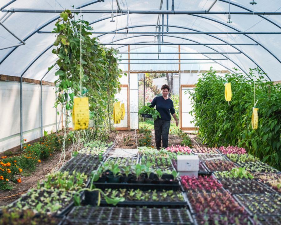 Tedesca osteria indoor sitting