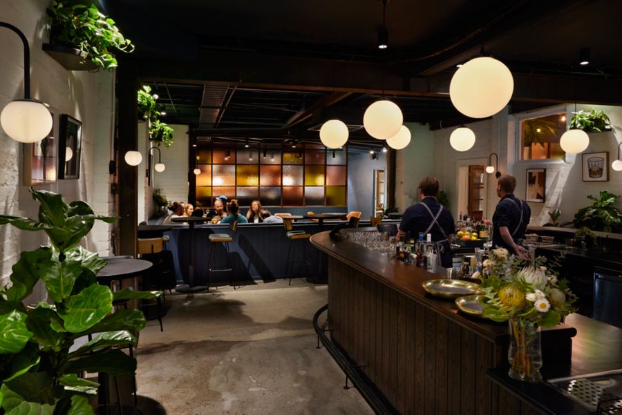 Ambience at Molly Rose