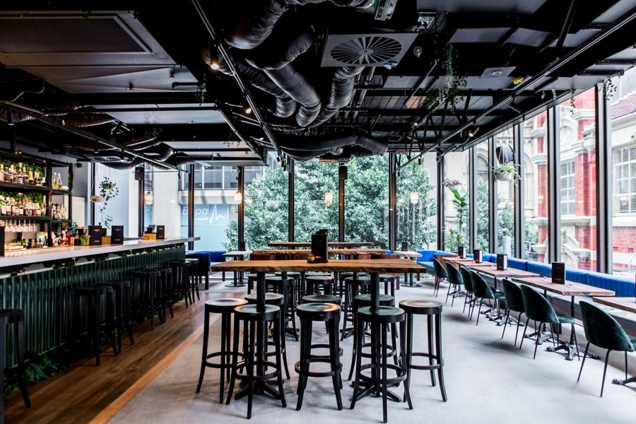 Terrarium A CBD Cocktail Bar & Rooftop Terrace in Perth (What Drinks