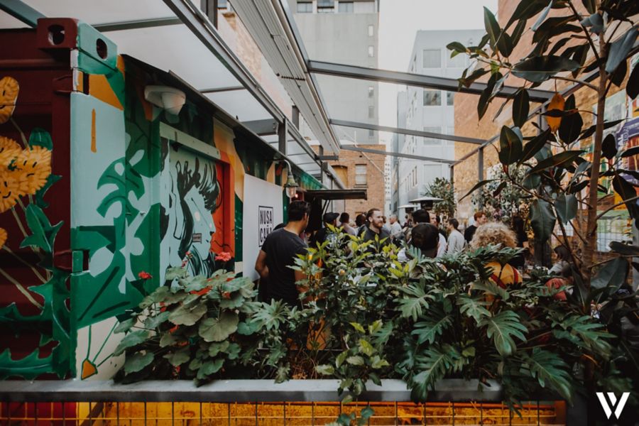 A leafy angle at the Melbourne bar Whitehart