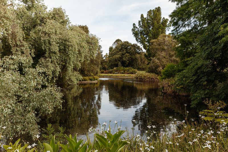 The lakeside setting at Botanic Lodge