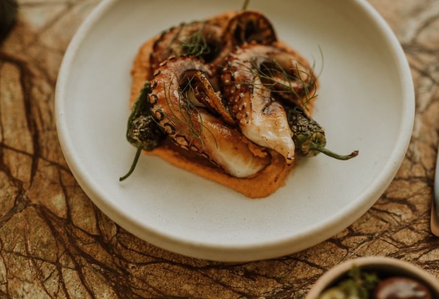 Wide range of food at Restaurant Maria, Hobart